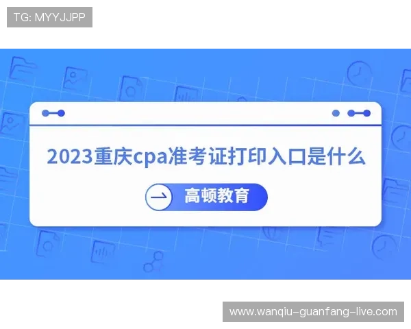 稳胆是什么意思 品牌入口避坑下载评测 稳胆是什么意思 品牌入口避坑下载评测